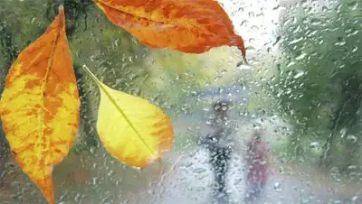 Zakon.kz, фото - Новости Zakon.kz от 27.09.2014 14:58