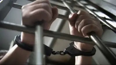 Елены Синеок, Юга.ру, фото - Новости Zakon.kz от 11.12.2019 17:29