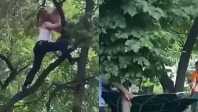 кадры из видео, фото - Новости Zakon.kz от 03.06.2021 21:31