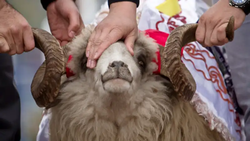 Где в Нур-Султане можно совершить обряд жертвоприношения