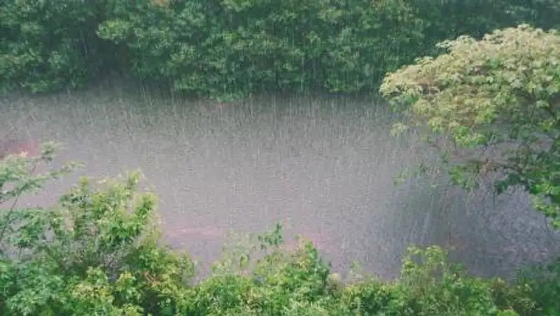 Сильные дожди ожидаются в Восточно-Казахстанской и Жамбылской областях