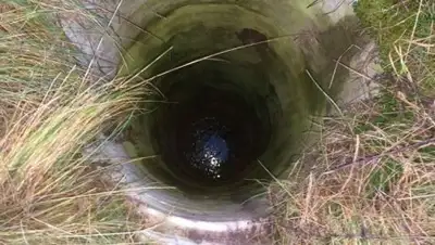 Fishki, фото - Новости Zakon.kz от 04.04.2018 17:17