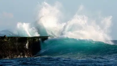 Zakon.kz, фото - Новости Zakon.kz от 23.05.2015 17:10