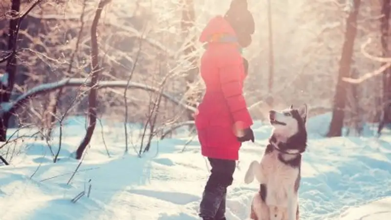 1 февраля на большей части Казахстана сохраняется погода без осадков