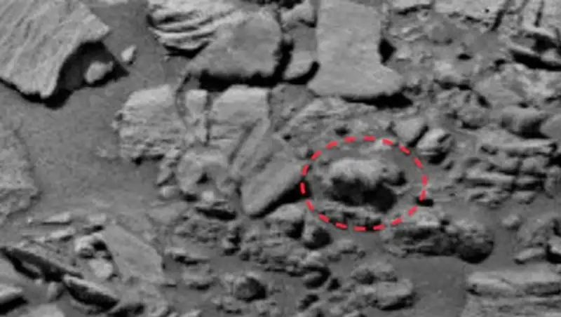 Медведь гуляет по Марсу