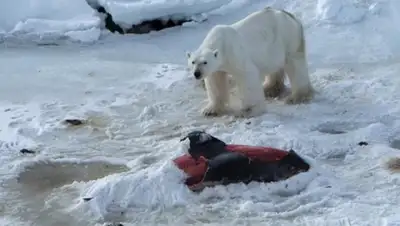 Zakon.kz, фото - Новости Zakon.kz от 13.06.2015 07:37