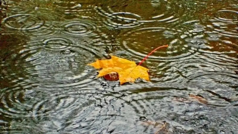 На большей части Казахстана в понедельник пройдут дожди