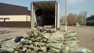 Zakon.kz, фото - Новости Zakon.kz от 10.05.2017 18:41