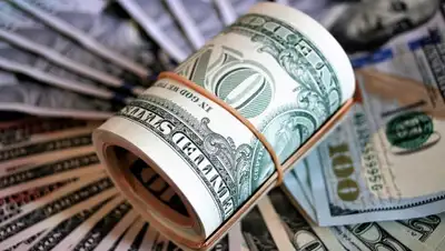 pixabay.com, фото - Новости Zakon.kz от 11.10.2019 11:46