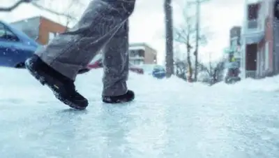 24.kz, фото - Новости Zakon.kz от 11.03.2021 19:31