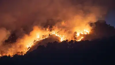 Крупный лесной пожар уже почти полностью охватил испанский Тенерифе