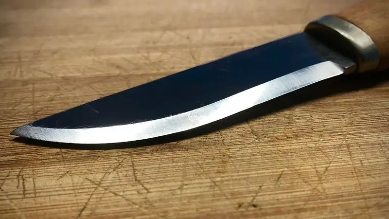 В Белграде бывшая ученица ранила ножом сверстника и учительницу