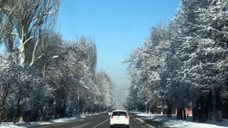 На юге Казахстана в понедельник ожидается погода без осадков