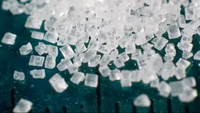 Zakon.kz, фото - Новости Zakon.kz от 13.04.2017 21:52