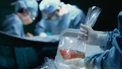 Zakon.kz, фото - Новости Zakon.kz от 18.08.2017 22:50