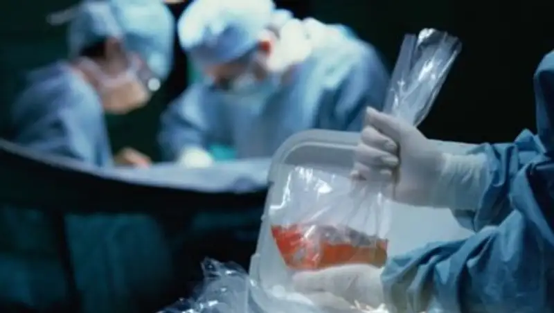 В Павлодаре 52-летняя женщина стала посмертным донором для четверых человек