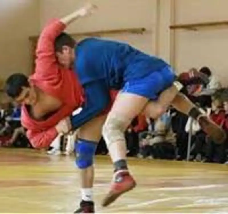 Казахстанец Алмат Сулейменов стал чемпионом мира по боевому самбо, фото - Новости Zakon.kz от 30.11.2012 01:35