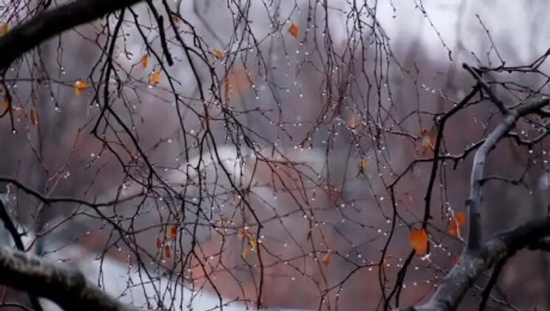 Осадки выпадут на большей части Казахстана