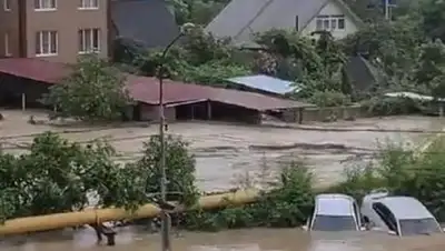 kuban.kp.ru, фото - Новости Zakon.kz от 05.07.2021 17:25