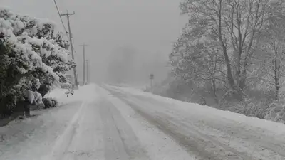 Метель прогнозируют синоптики на востоке Казахстана  , фото - Новости Zakon.kz от 26.10.2023 15:50