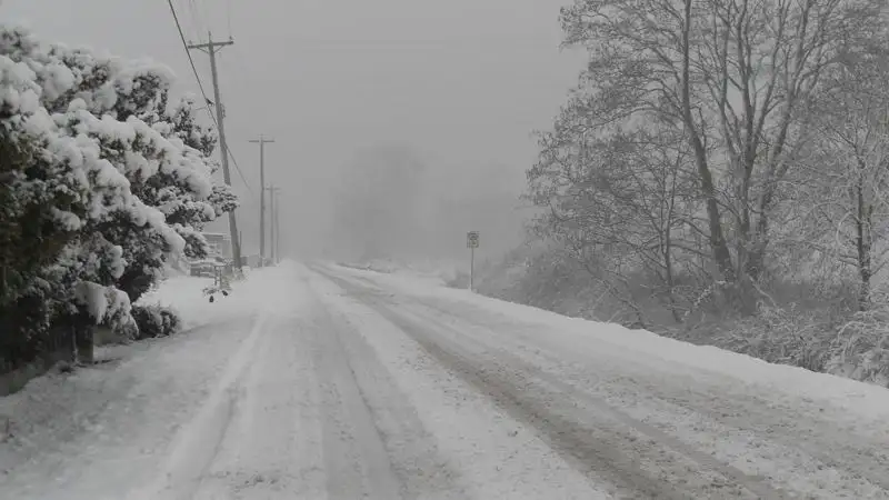 Метель прогнозируют синоптики на востоке Казахстана