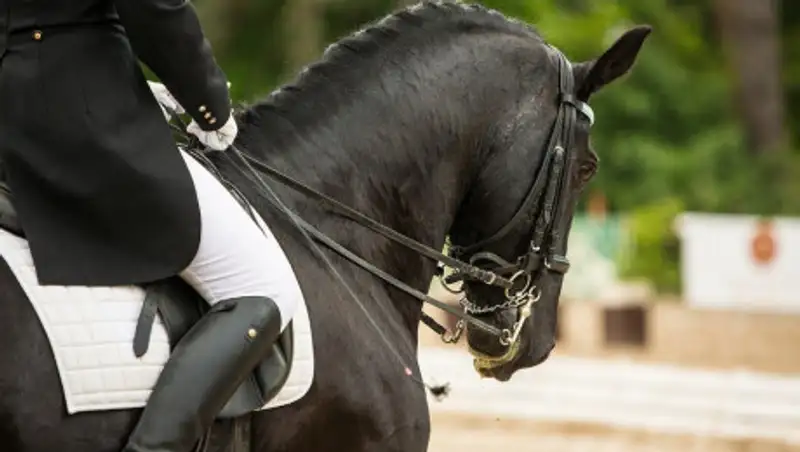 Житель Текели въехал в кафе на лошади