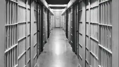 aif.ru, фото - Новости Zakon.kz от 04.04.2020 10:01