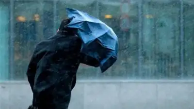 caravan.kz, фото - Новости Zakon.kz от 18.09.2018 19:35