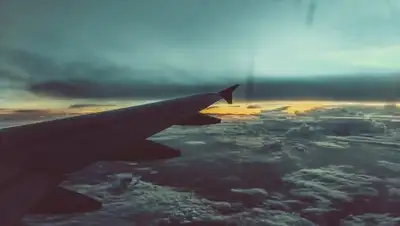 pxhere.com, фото - Новости Zakon.kz от 30.01.2019 10:19