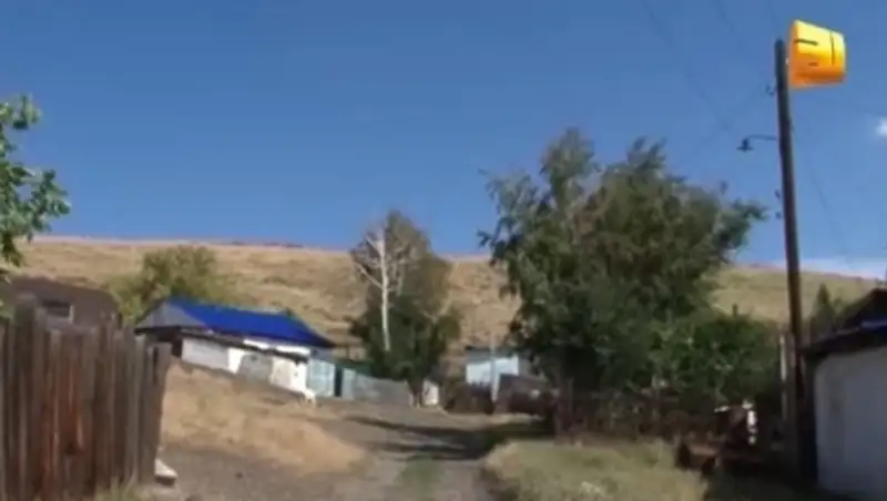 Жителей окраины Усть-Каменогорска атаковала рысь