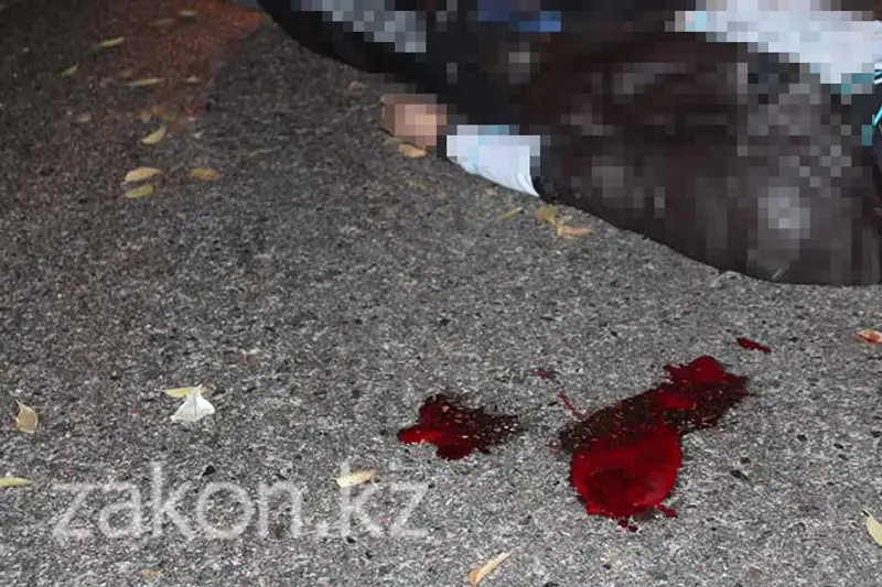 В Алматы 18-летний парень насмерть сбил пешехода (фото), фото - Новости Zakon.kz от 20.11.2013 22:40