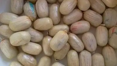 Zakon.kz, фото - Новости Zakon.kz от 08.04.2014 01:18