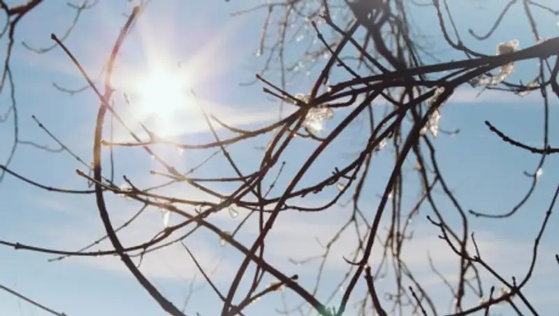 После аномального тепла в Казахстане похолодает