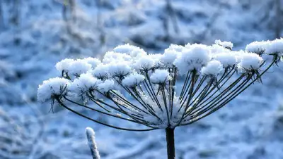 погода Казахстан, фото - Новости Zakon.kz от 13.01.2022 06:20