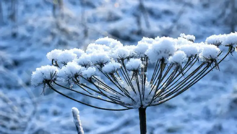 В Казахстан придет тепло