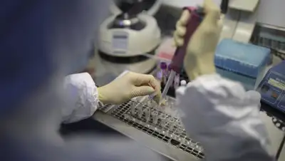 theepochtimes.com, фото - Новости Zakon.kz от 21.03.2020 10:04