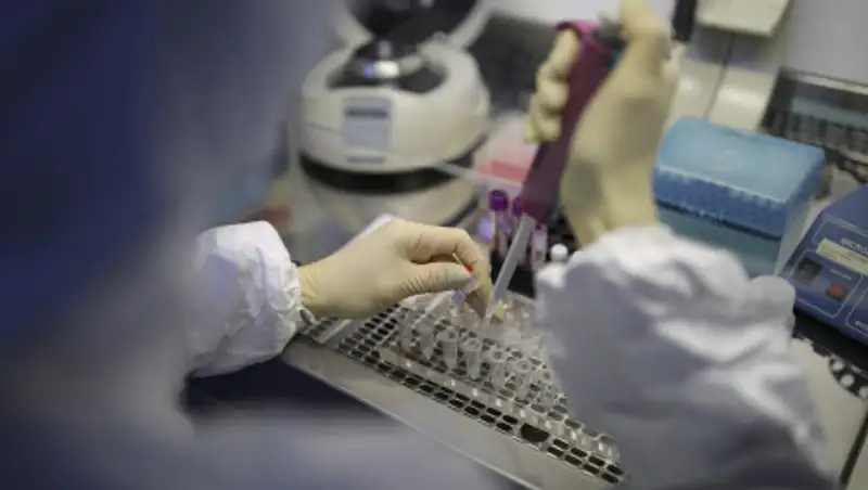 У министра образования Буркина-Фасо выявили коронавирус