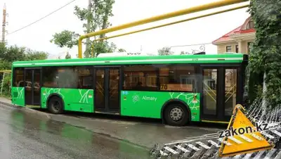 zakon.kz, фото - Новости Zakon.kz от 14.06.2018 16:28