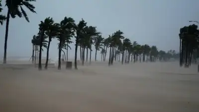 Zakon.kz, фото - Новости Zakon.kz от 11.09.2017 11:40