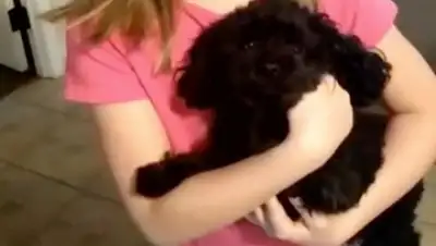 lenta.ru, фото - Новости Zakon.kz от 03.09.2018 20:26