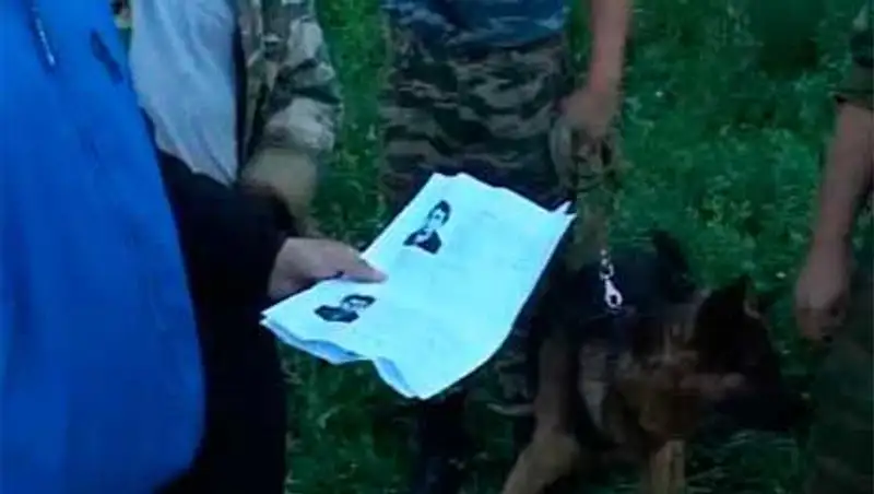 83-летняя пенсионерка ушла за ягодами и пропала в Костанайской области