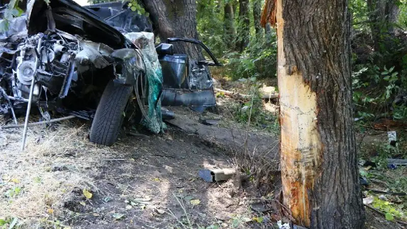 Mercedes на большой скорости врезался в дерево , фото - Новости Zakon.kz от 23.08.2022 18:16