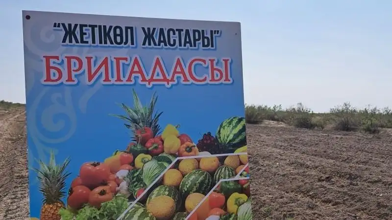 Как молодежь в Кызылординской области привлекли к сбору урожая , фото - Новости Zakon.kz от 10.10.2023 12:12