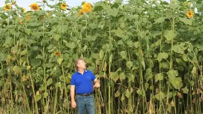 zakon.kz, фото - Новости Zakon.kz от 19.04.2021 21:14