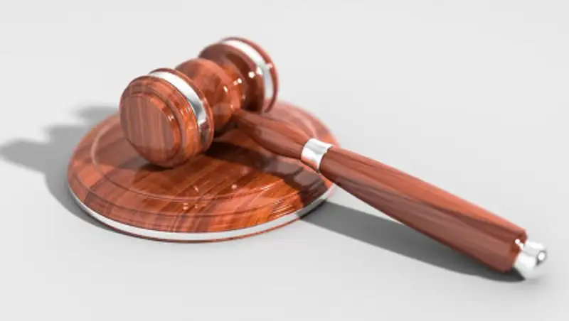 Суд оштрафовал Майю Манезу