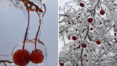 Zakon.kz, фото - Новости Zakon.kz от 10.12.2014 14:34