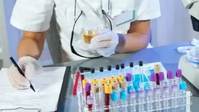 elorda.info, фото - Новости Zakon.kz от 23.04.2021 13:33