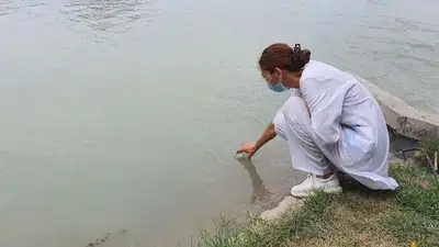 В Талдыкоргане после купания на городском пляже люди покрылись сыпью, фото - Новости Zakon.kz от 08.08.2023 12:48