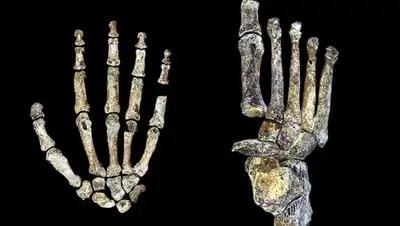 Zakon.kz, фото - Новости Zakon.kz от 08.10.2015 00:01