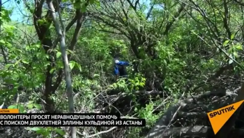 Волонтеры: нам нужна дополнительная помощь в поиске Эллины Кульдиной